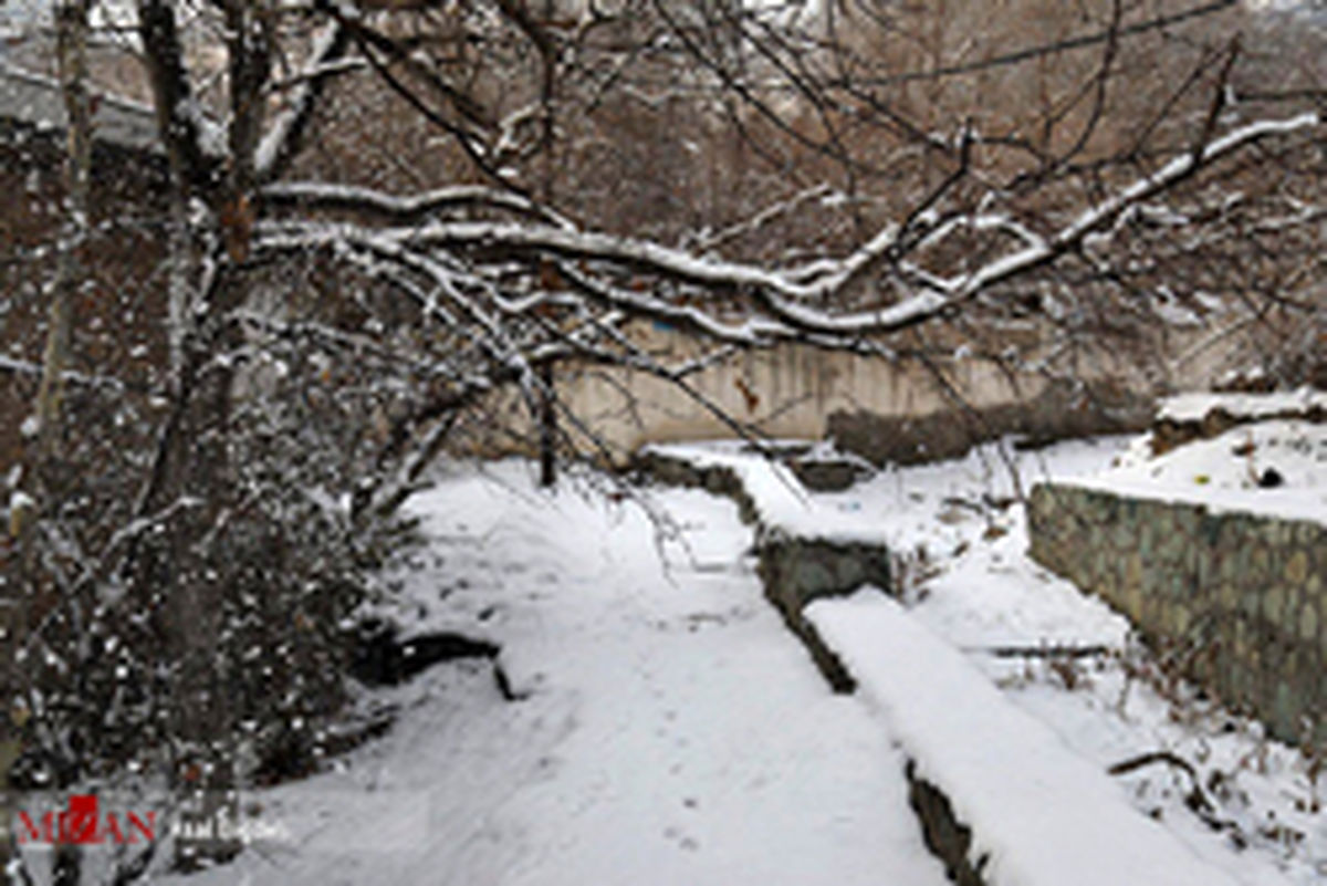 مناطق زلزله زده فردا بارانی می‌شود