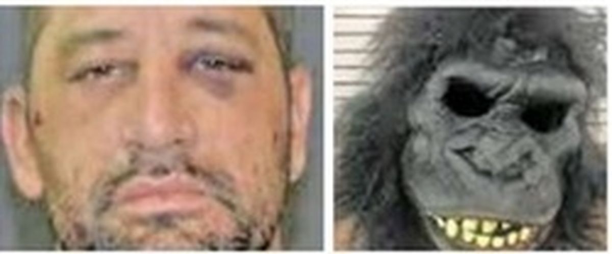 ۳ سال زندان برای مرد گوریلی!