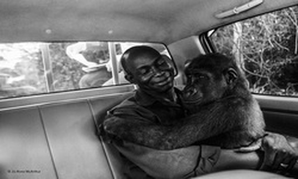 برترین عکس حیاتوحش سال ۲۰۱۷