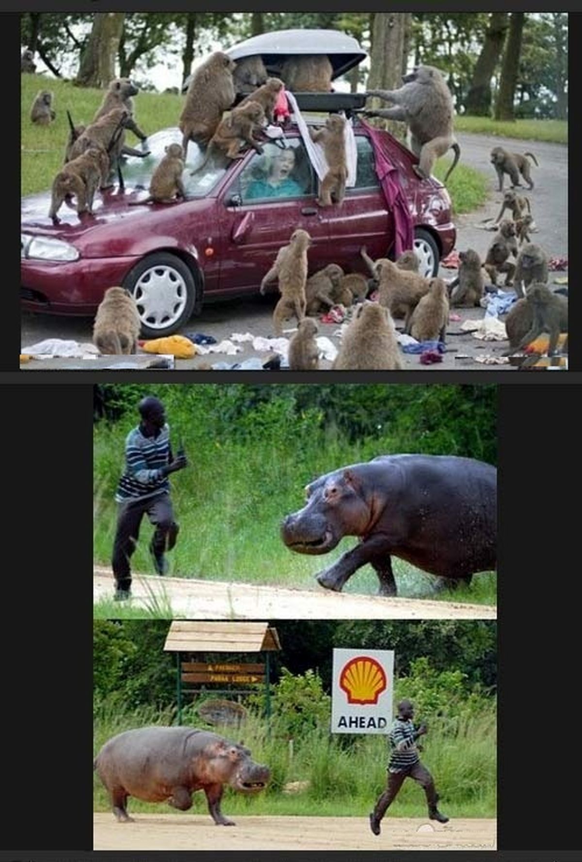 برخوردهای دیدنی!/عکس