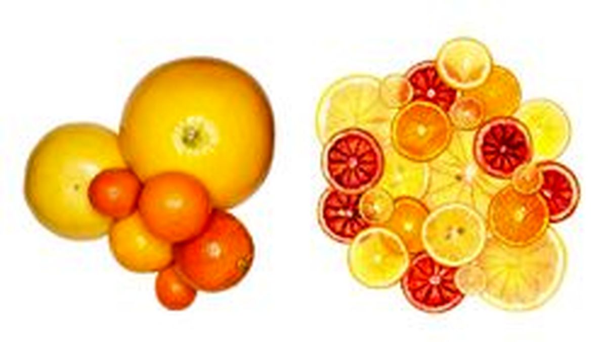 چطور ویتامین C را به رژیم غذاییمان وارد کنیم