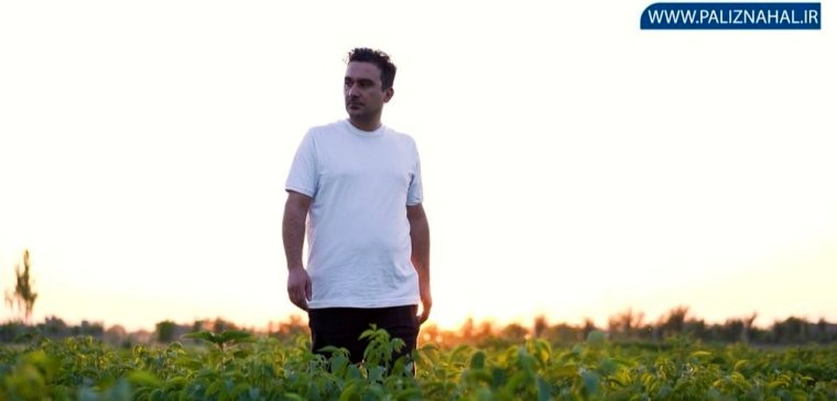 موفقیت و درآمد بالا با خرید نهال هلو در نهالستان پالیز