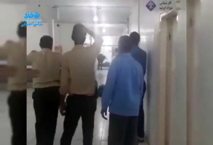 اعتراض متفاوت خوزستانیها/آوردن گاو میش ها به داخل اداره دولتی/ فرار کارمندان از ترس!   +عکس