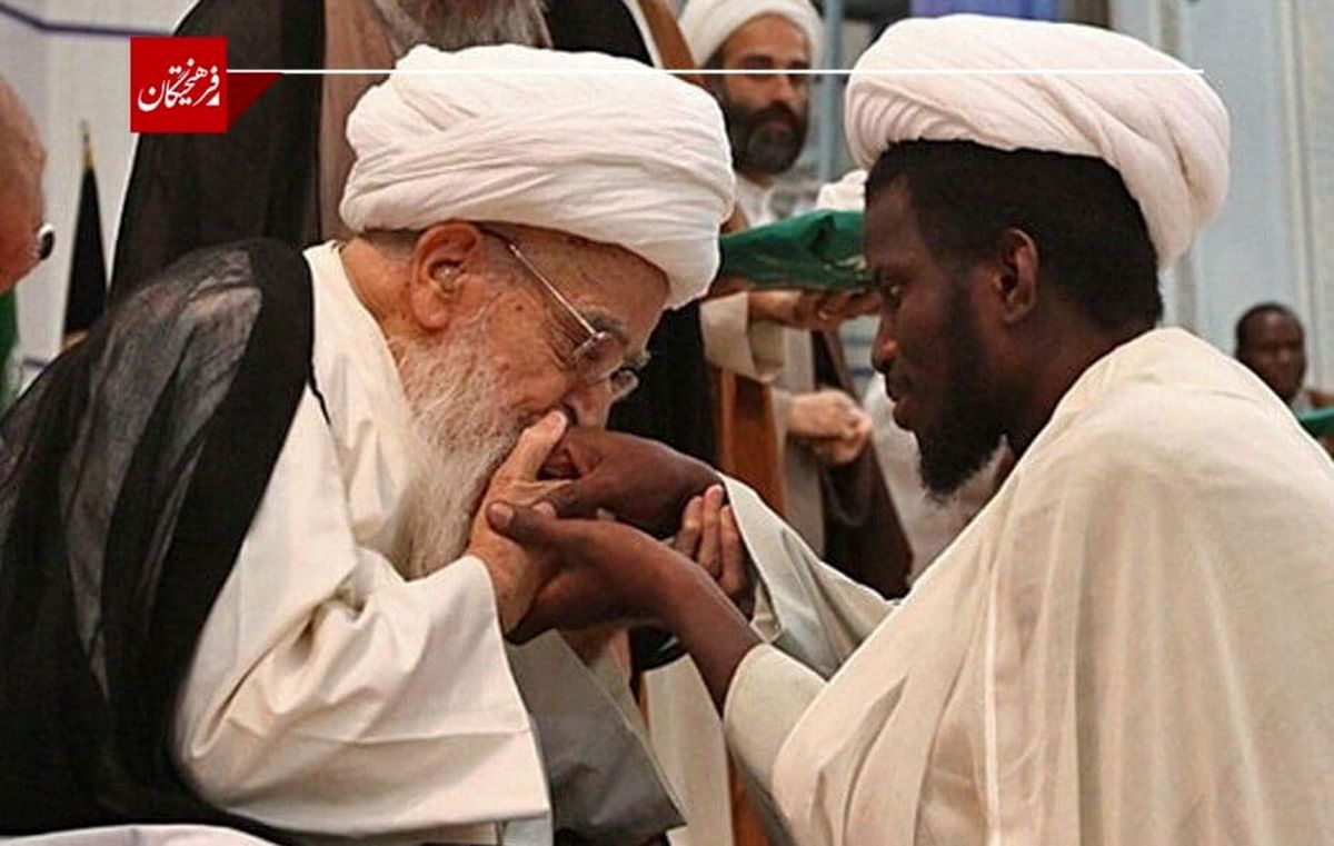 عکسی ماندگار از مرحوم آیت الله صافی گلپایگانی