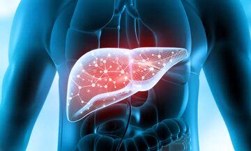 گیاهی که از کبد محافظت میکند