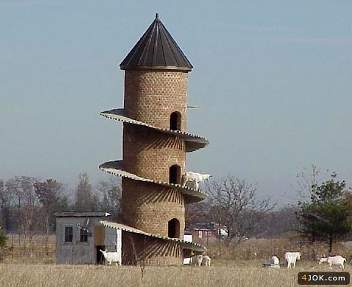 عکس/ بزخانه!