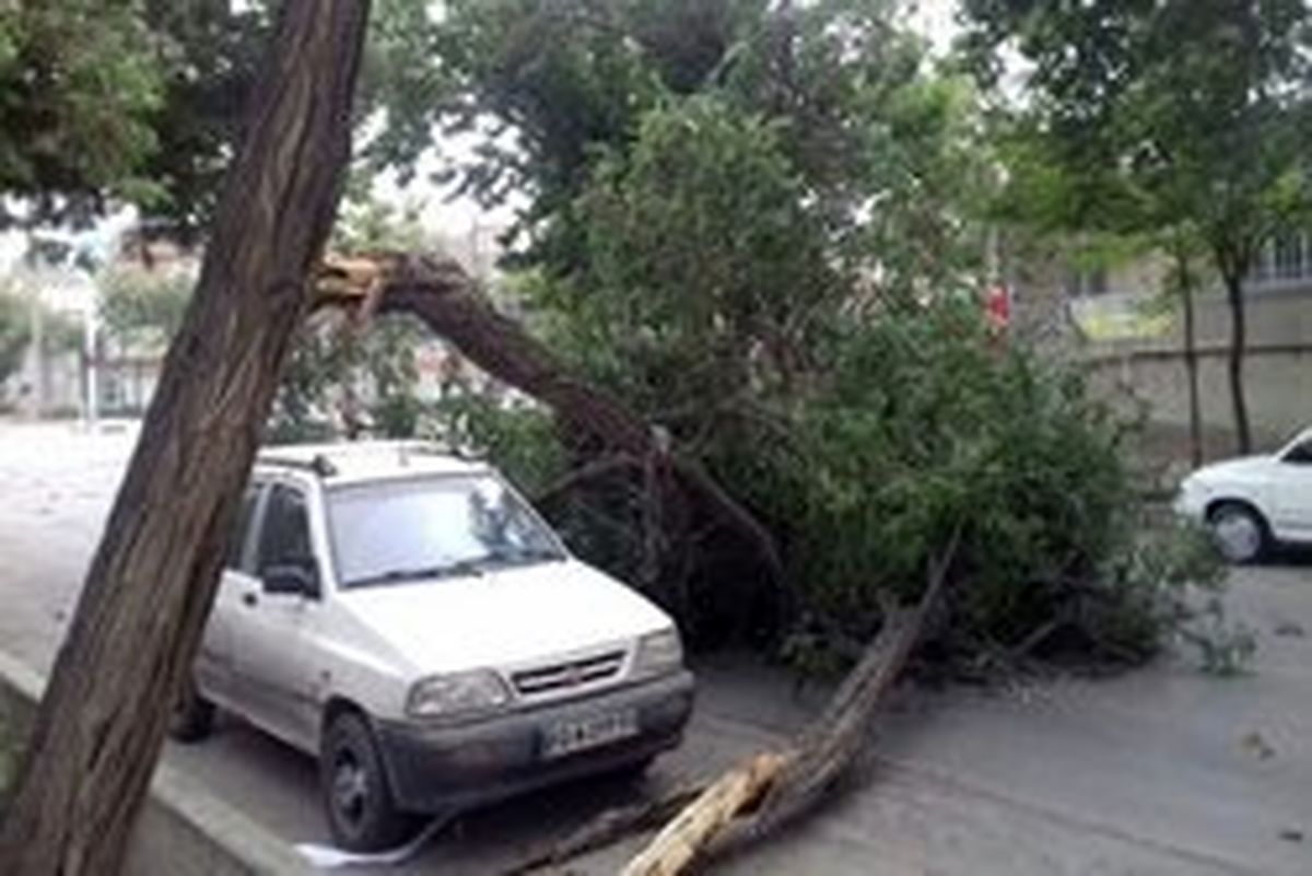 طوفان شدید مناطق مختلف بجنورد را درنوردید