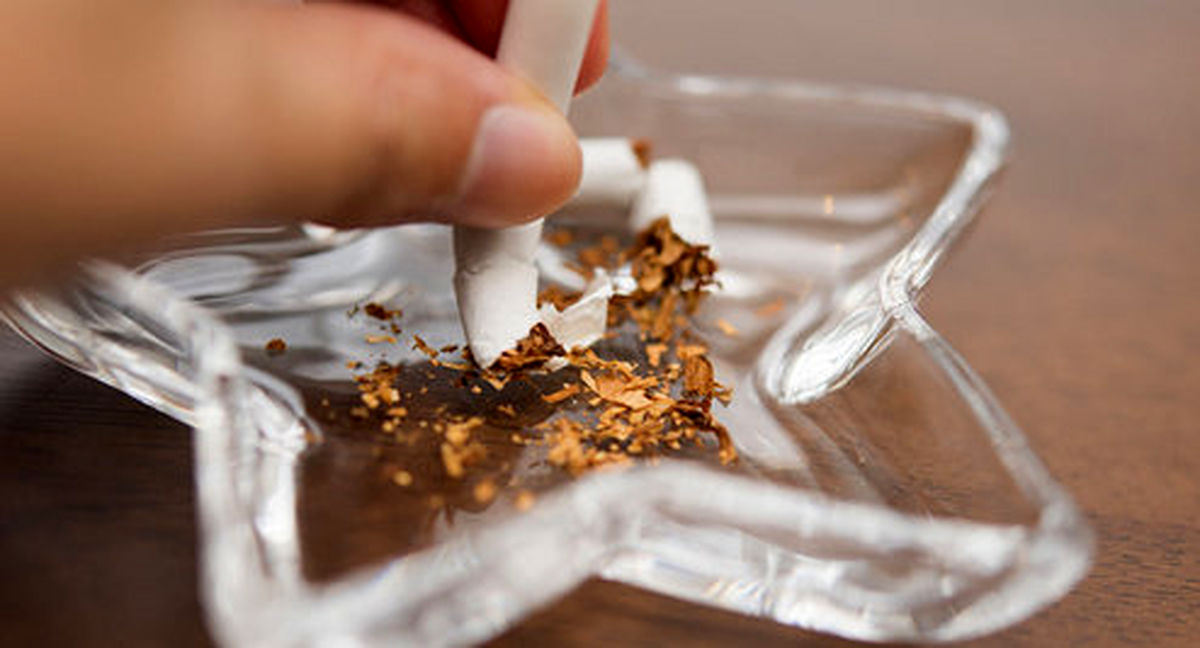 به جای حشیش کاکائو تلخ مصرف کنید! +عکس