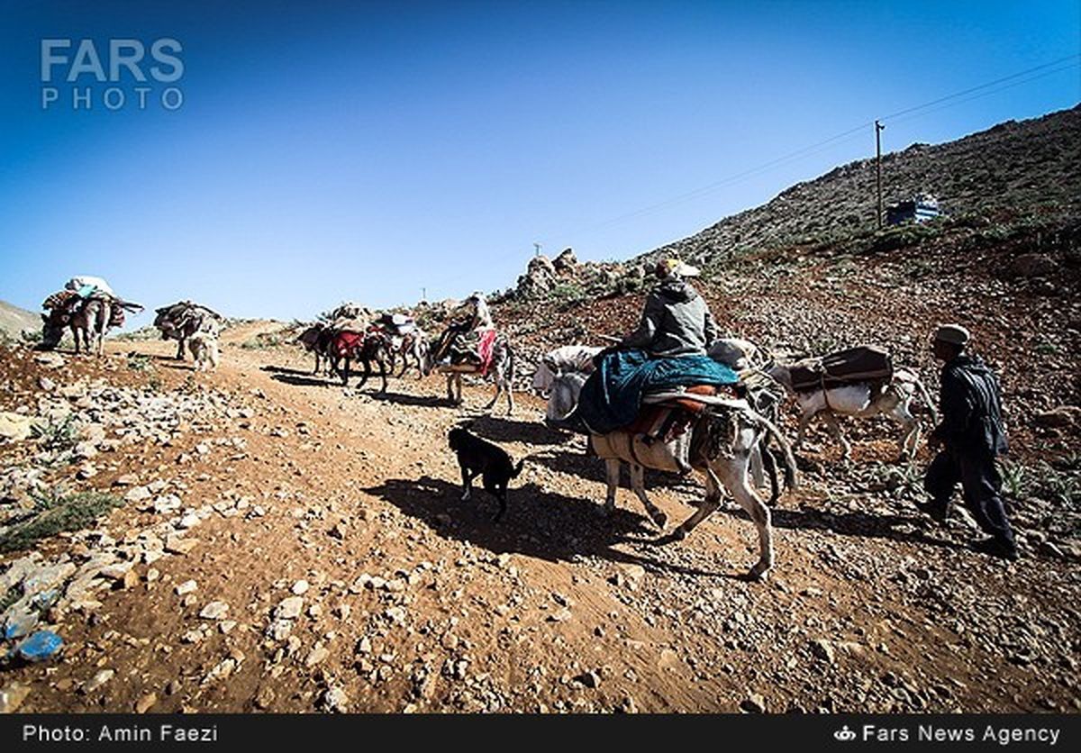 تصاویر / کوچ عشایر قشقایی