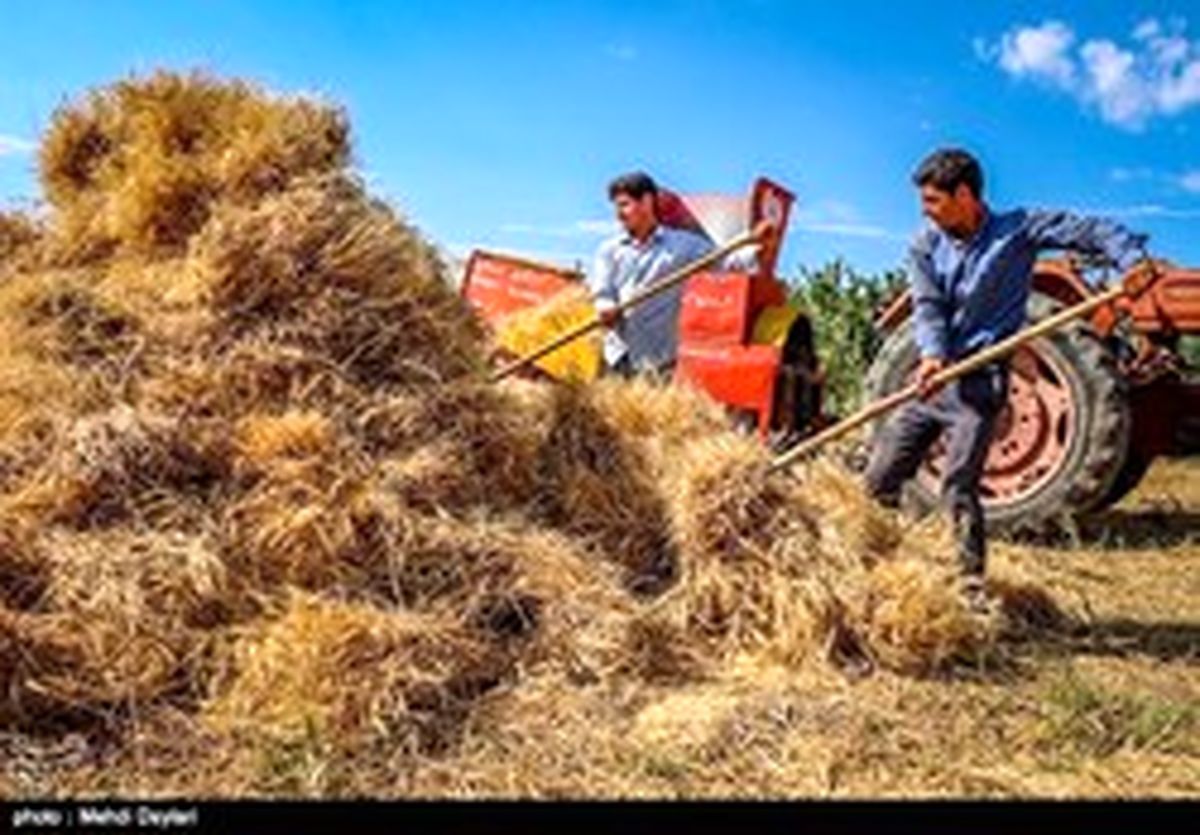 گندمکاران به مجلس نامه نوشتند +سند