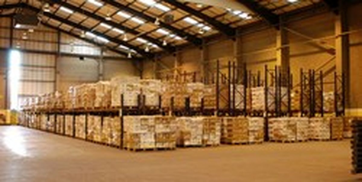 وارد کنندگان محصولات سلولزی و بهداشتی رصد میشوند