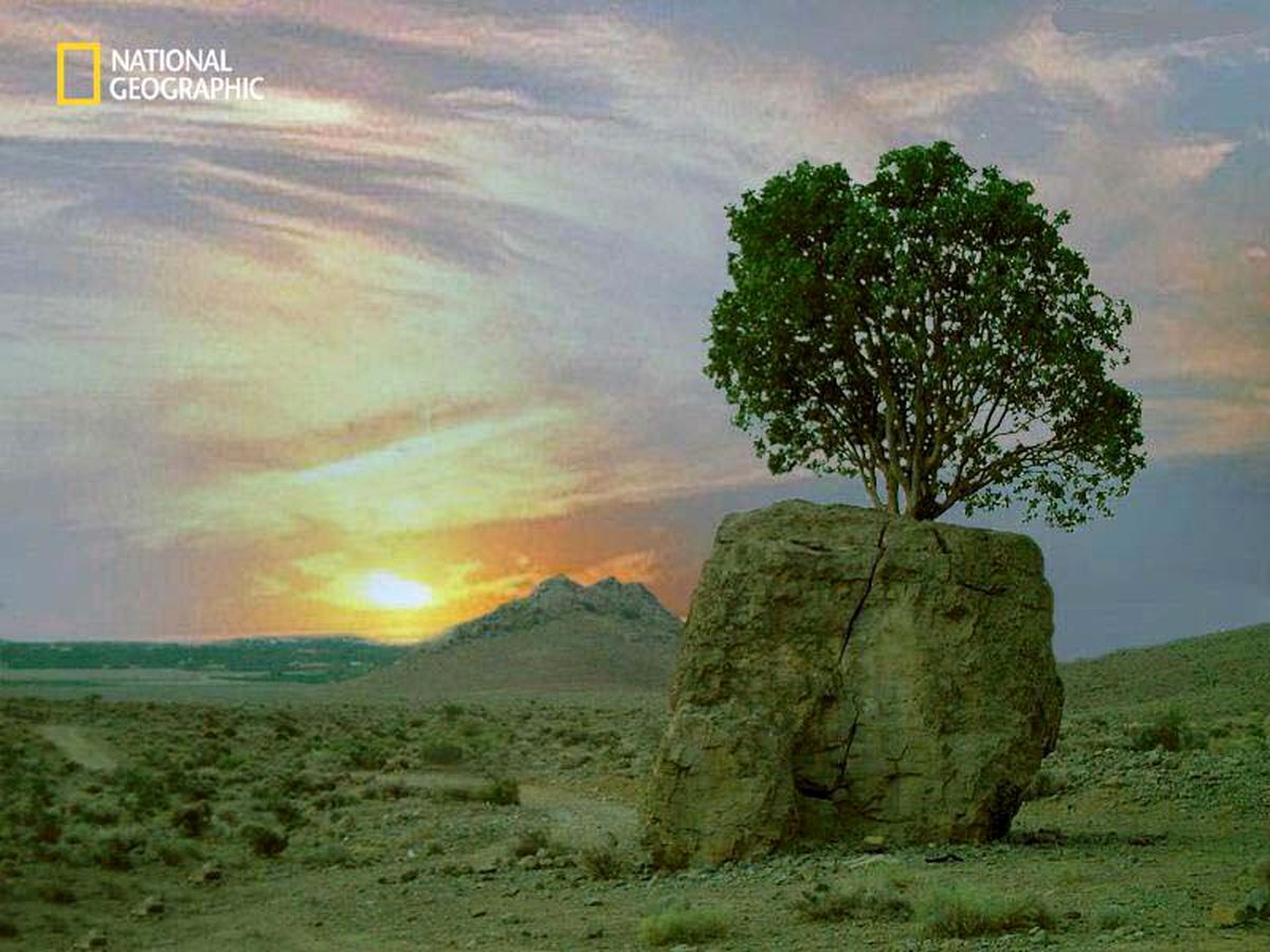 عکس: سنگ صبور ایران سوژه نشنال جئوگرافیک