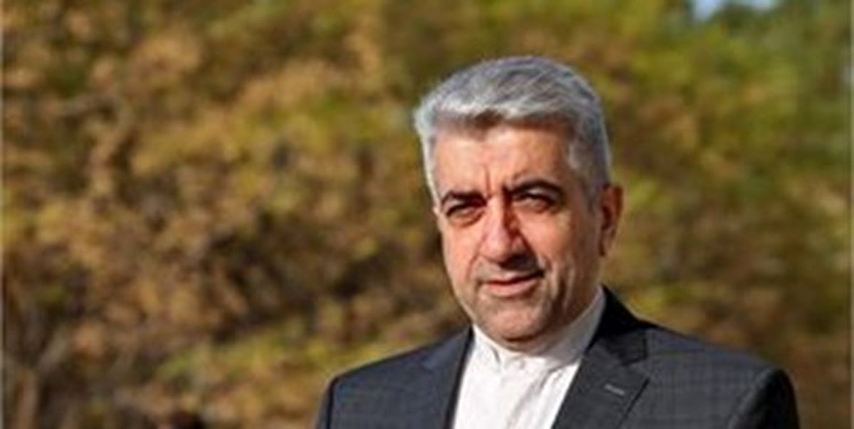 توضیح وزیر نیرو درباره «یک وعده غذا خوردن» چینیها