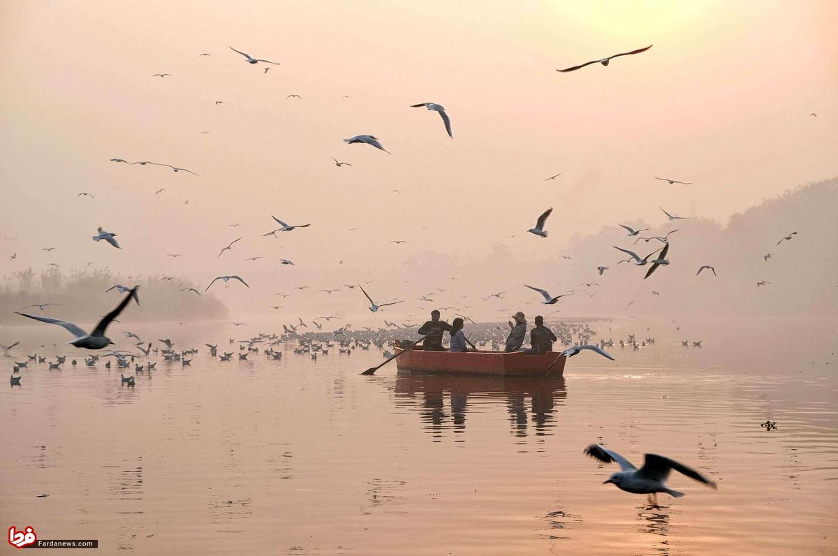 تصویری وحشتناک از آلودگی هوا در هند/عکس