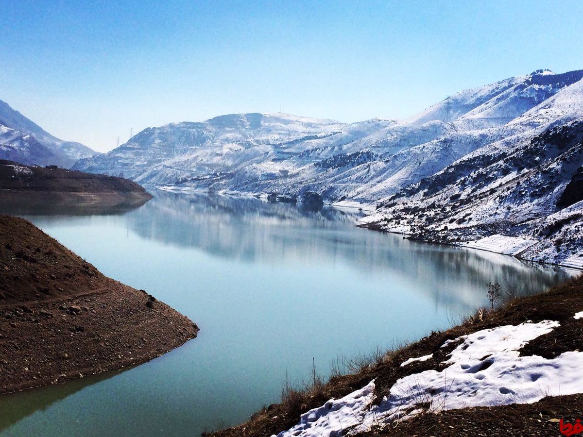 دیدن این عکس زیبا را از دست ندهید