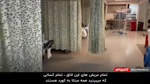 گزارش تکاندهنده پزشک آمریکایی از گسترش مرگ کرونایی در نیویورک +فیلم