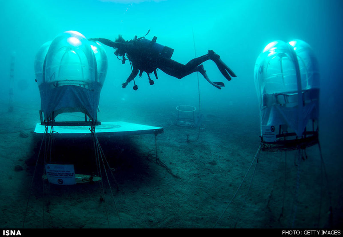 پرورش گیاهان خشکی‌زی در زیر آب+عکس