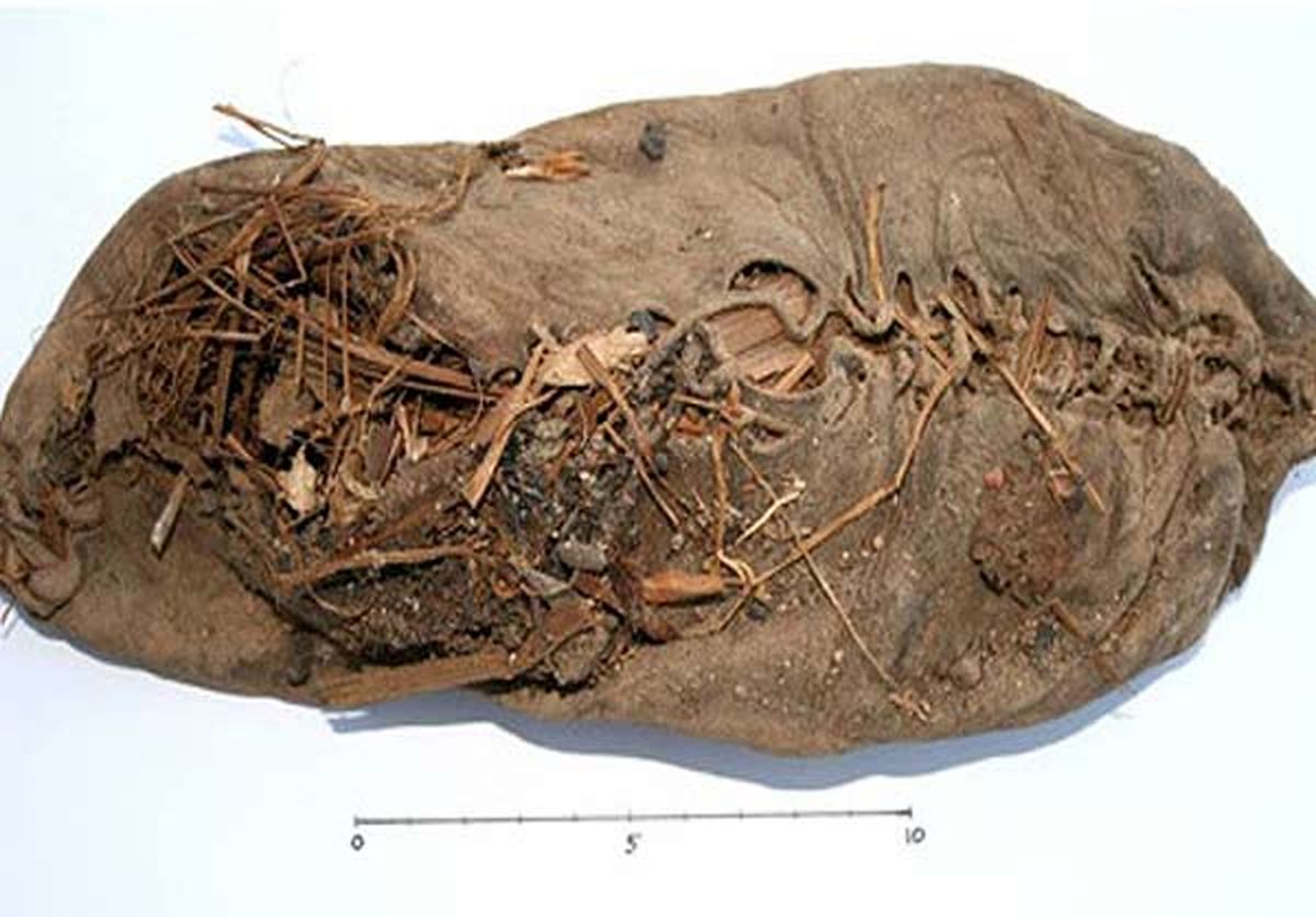 عکس:کفش 5500 ساله