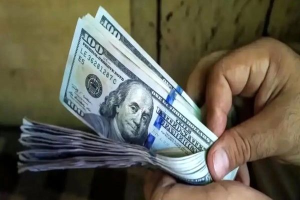نوسان تند دلار و یورو امروز ۴ آبان ۱۴۰۴ | بازار ارز در شوک کاهش ناگهانی نرخ‌ها!