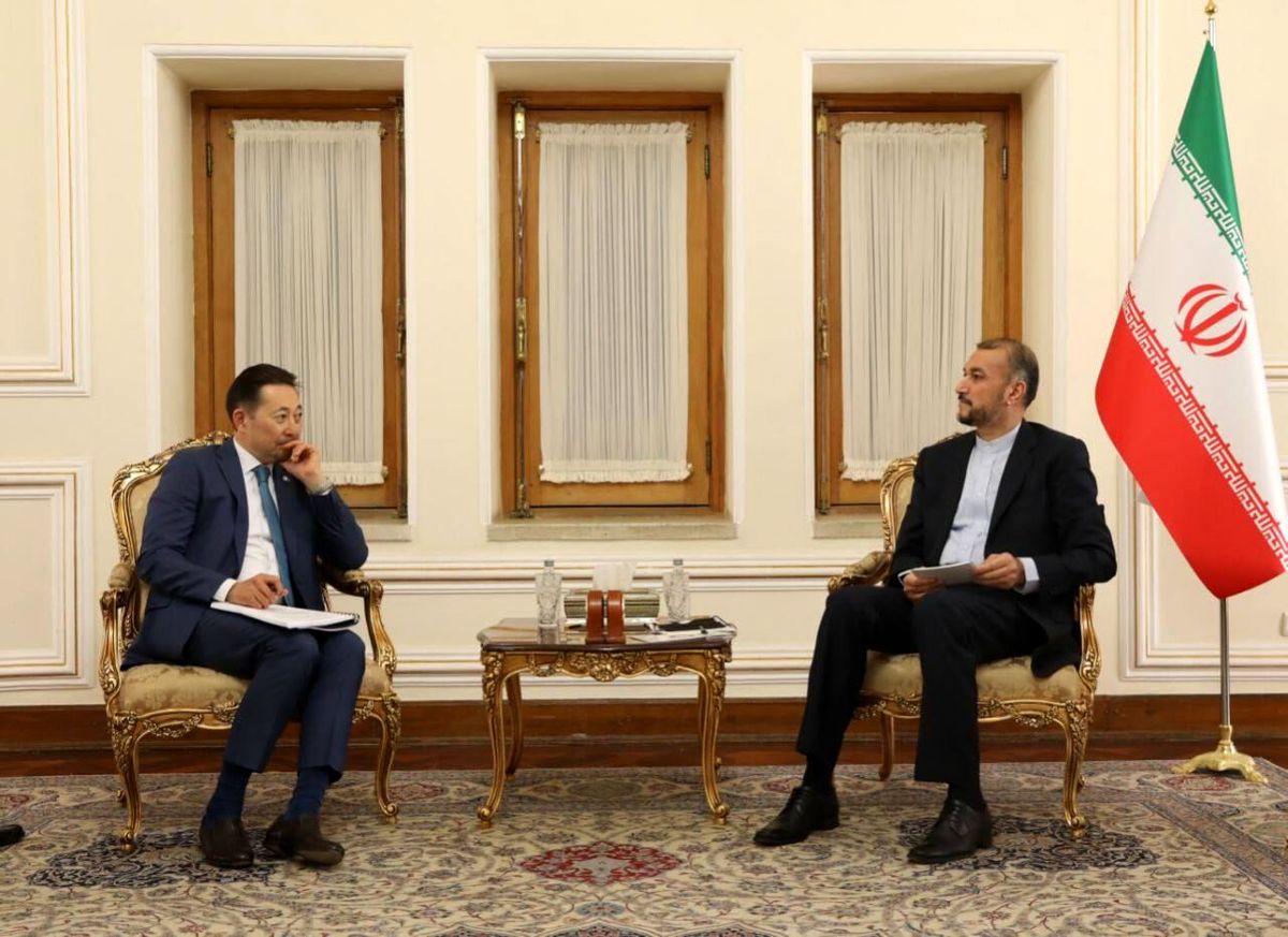 امیرعبداللهیان بر ضرورت تقویت ظرفیتهای سیکا تاکید کرد