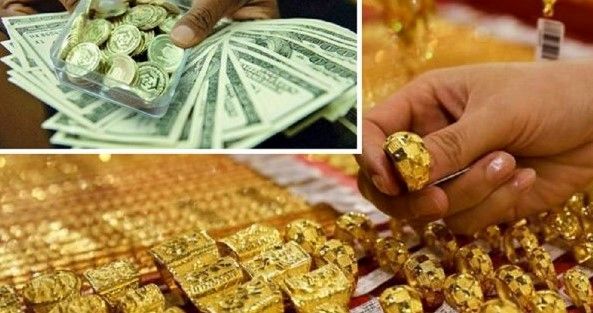 رکوردشکنی قیمت سکه و طلا ۱۴ آبان | خریداران شوکه شدند!