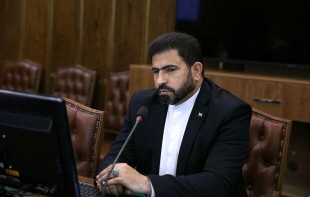 نماینده مجلس: مصوبات خوبی در این مجلس اتفاق افتاده است