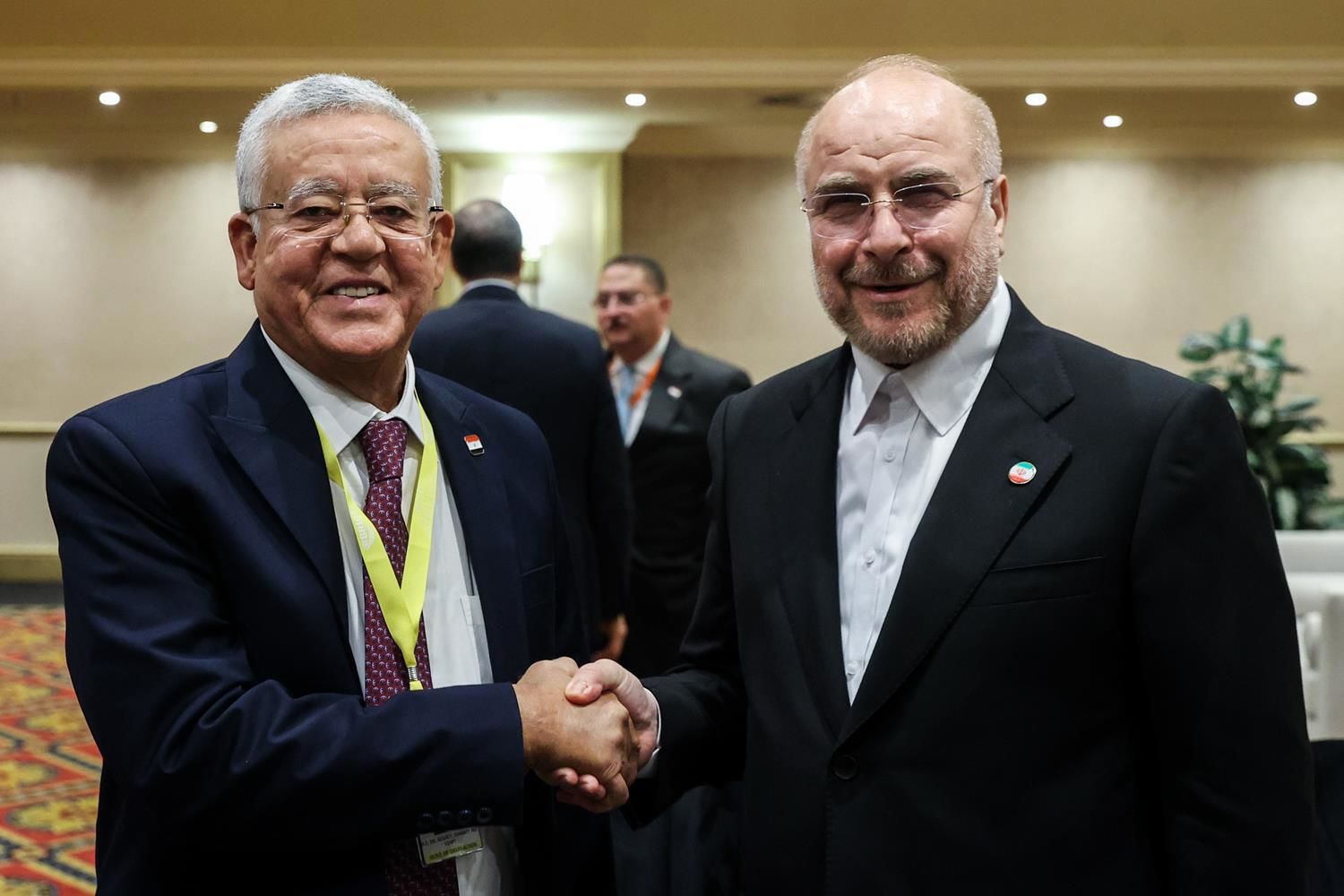 تصاویر/دیدار رئیس مجلس مصر با قالیباف