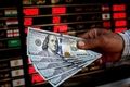 سقوط تاریخی نرخ ارز در بازار امروز سه‌شنبه ۱۵ مهر | جدول جدید قیمت دلار و یورو
