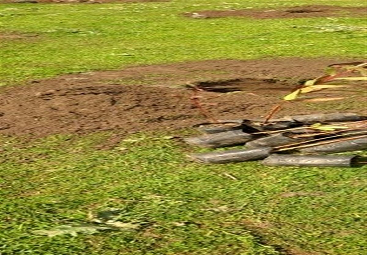 ادامه فعالیت شبانه پروژه پتروشیمی میانکاله