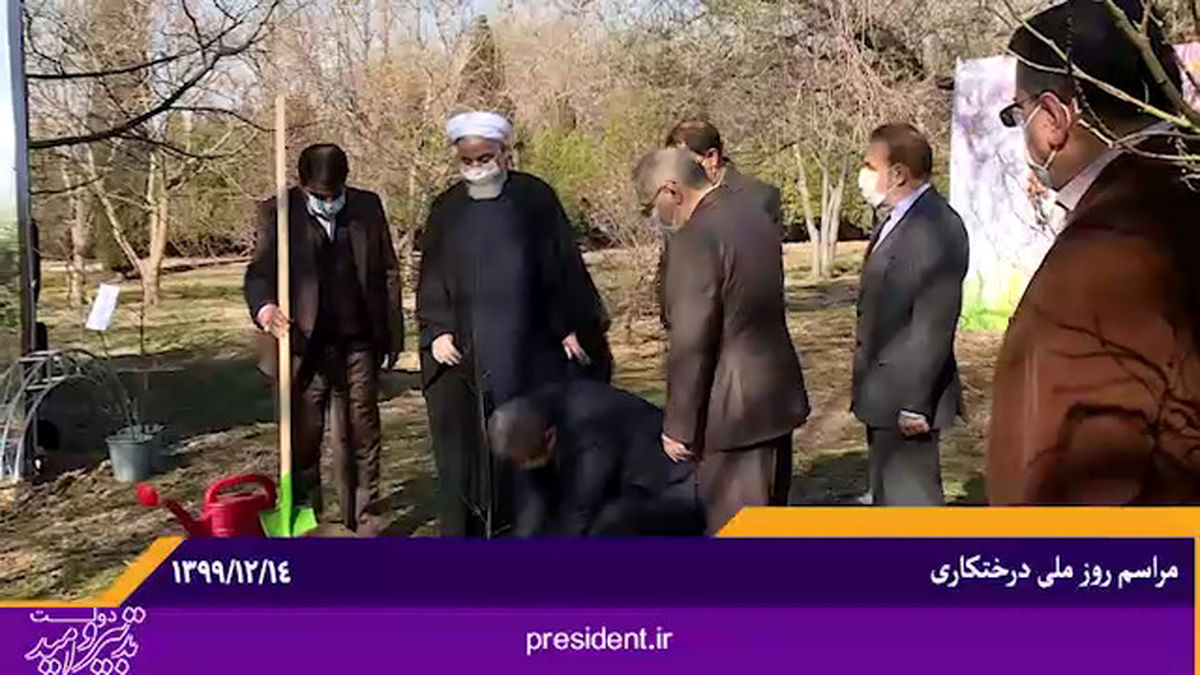 روحانی: ترویج زراعت چوب یکی از افتخارات دولت است +فیلم