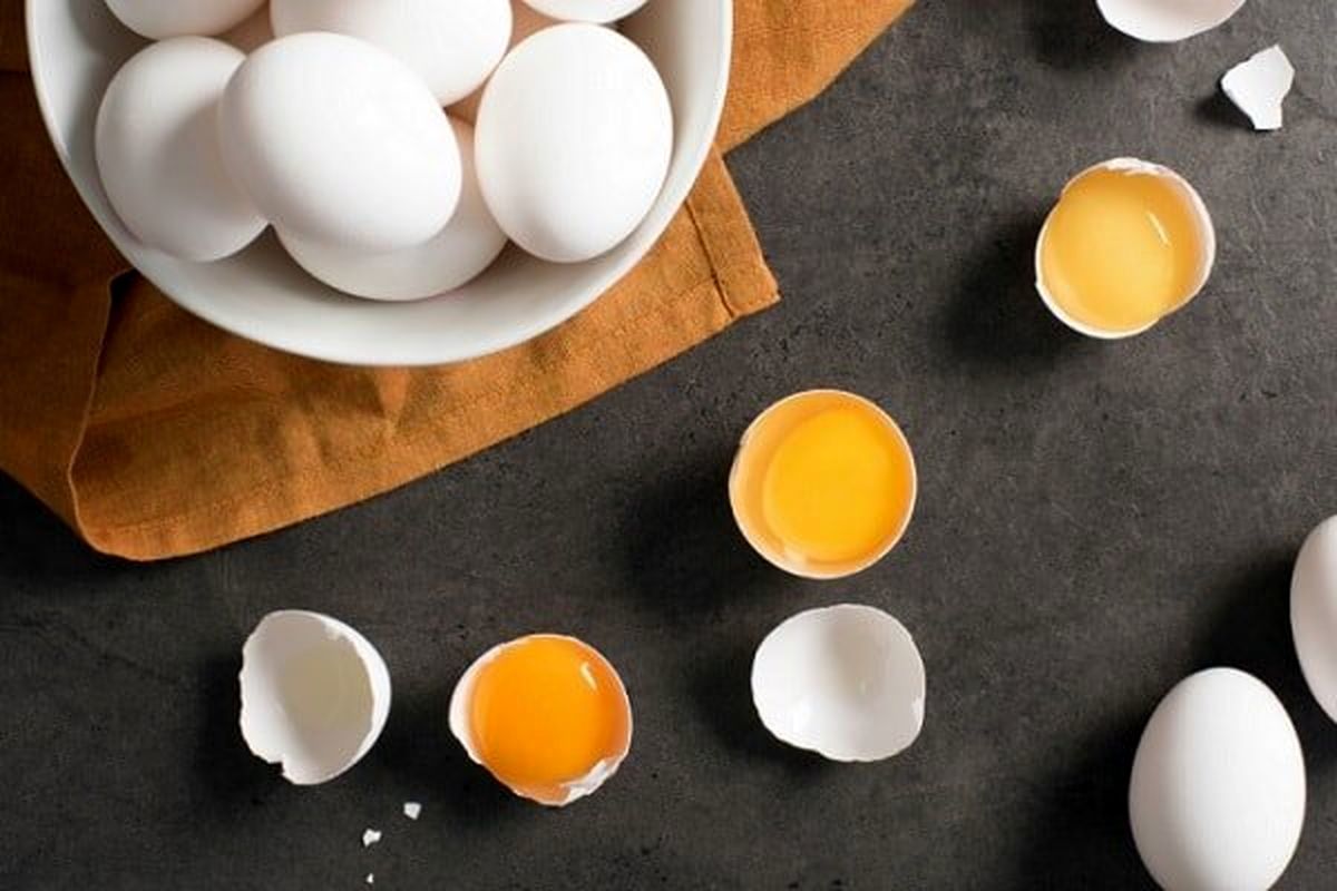قیمت یک شانه تخم مرغ چند؟