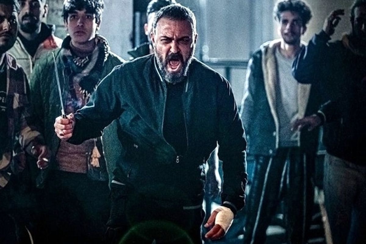 دعوت به چرخه خشونت