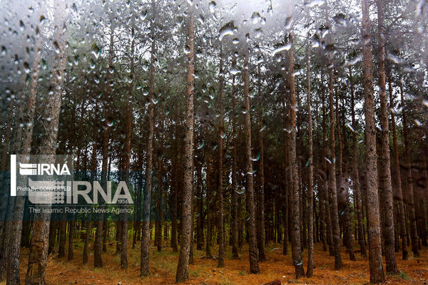 پیش بینی هواشناسی برای روزهای پایانی آذر