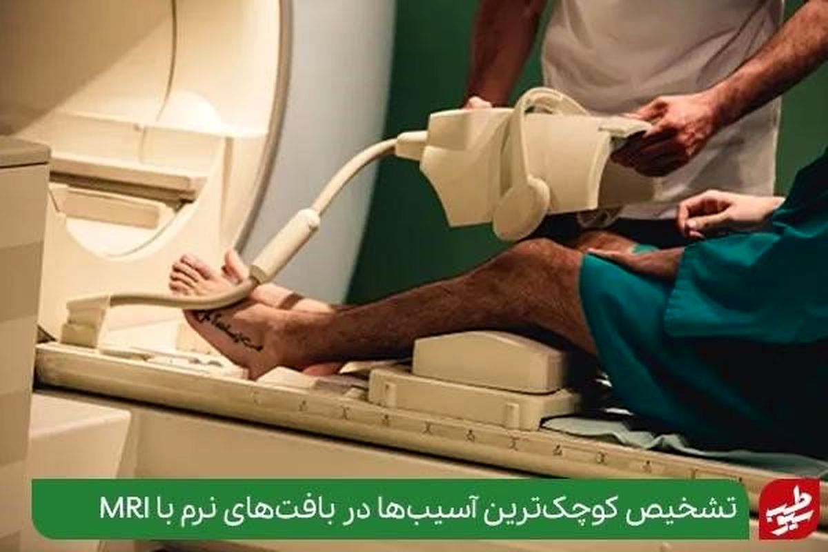زانو درد را بهتر بشناسیم؛ فاکتورهای مهم زانودرد را میشناسید؟