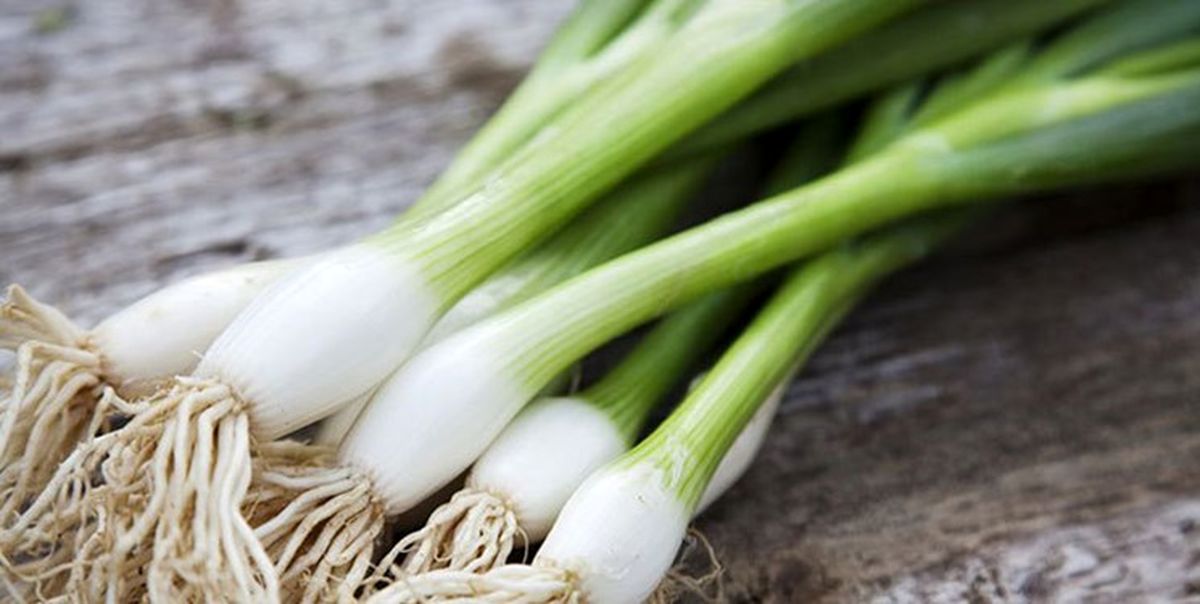  این ماده غذایی 25 خاصیت برای سلامتی دارد