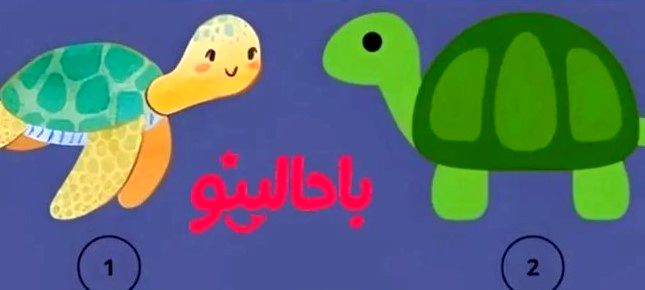 تست شخصیت شناسی/ یکی از لاک پشت ها را انتخاب کن تا بگم اهل حسادتی؟