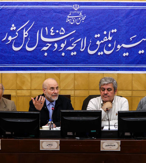 قدرت خرید مردم در بودجه ۱۴۰۵ باید افزایش یابد / با دهک بندی فعلی نمی توان یارانه ها را به صورت هدفمند و عادلانه  توزیع کرد 