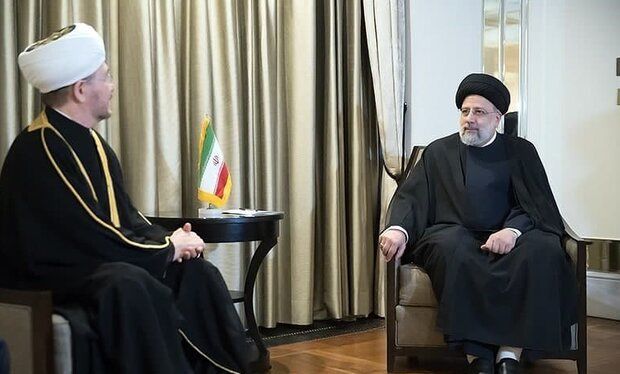 ددیدار رئیس‌جمهور با «راویل عین‌الدین»/رئیسی: افراط‌گرایی به مسلمانان ضربه زد