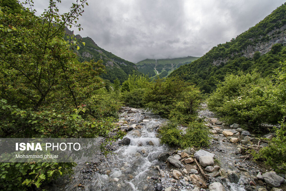 تصاویر: دشت دریاسر در تنکابن - استان مازندران