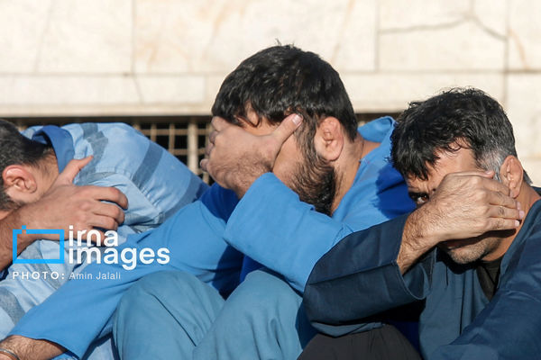 دستگیری سه عضو دیگر از عوامل کانال «شکار مزدور» در مازندران  