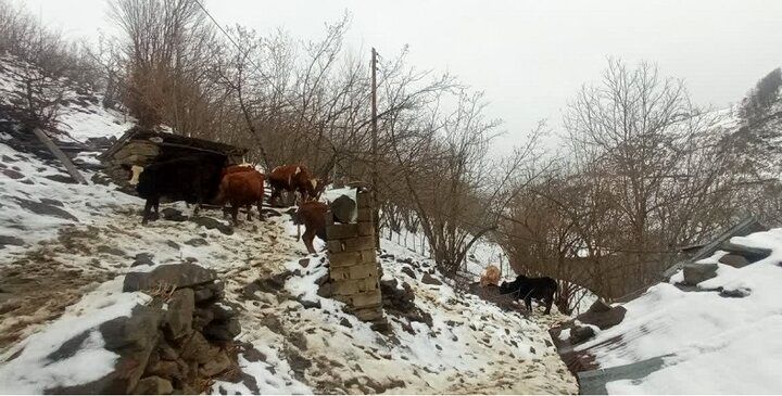 بارش برف در بیش از ١٠٠ روستای بخش رحیم آباد رودسر