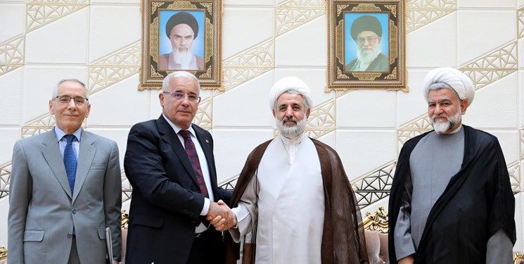 ذوالنوری: توسعه روابط پارلمانی ایران و الجزایر به پیشرفت دو کشور کمک میکند