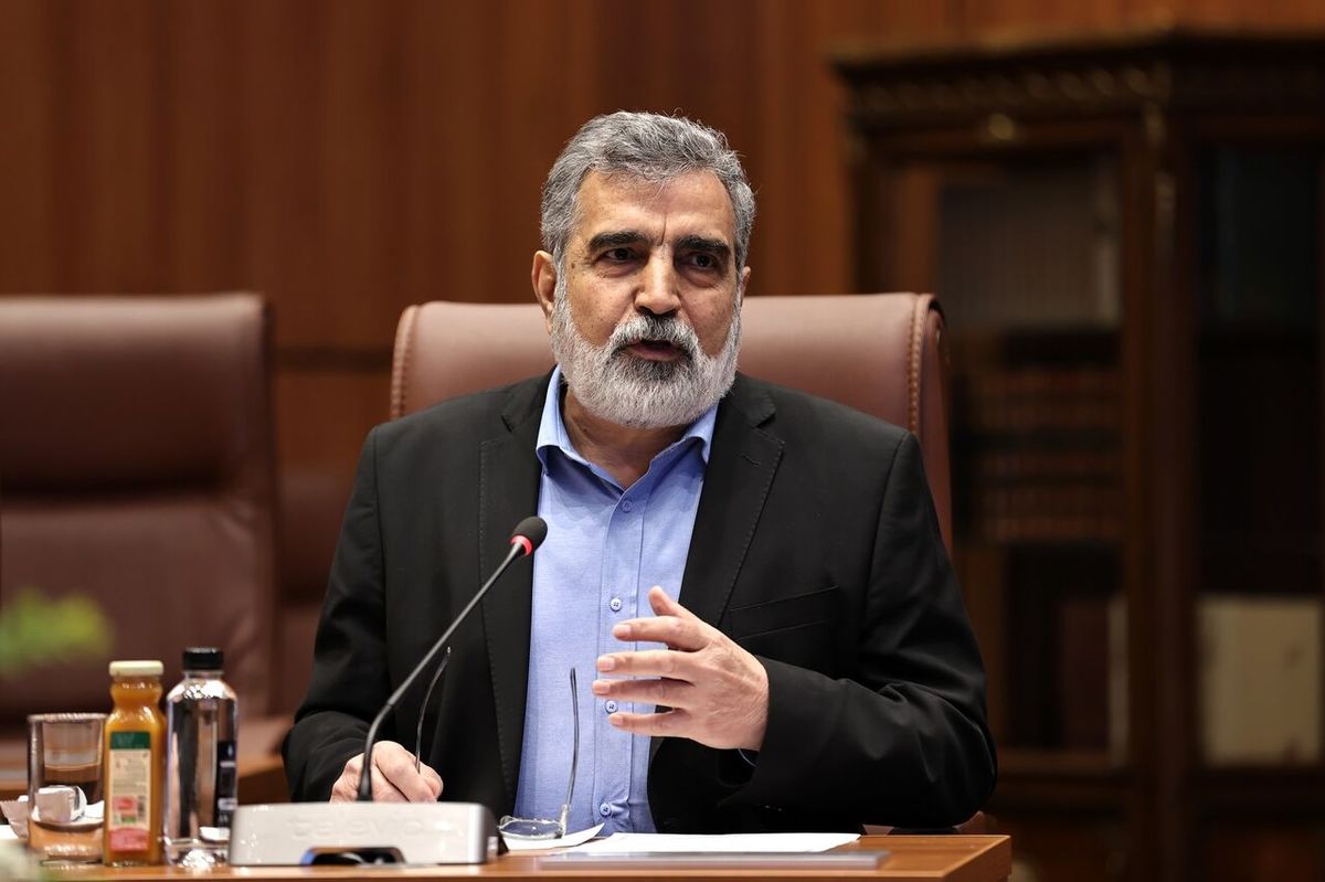 کمالوندی: ایران تنها کشوری نیست که غنیسازی میکند و سلاح هستهای ندارد