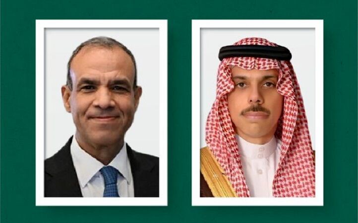 گفتگوی وزرای خارجه مصر و عربستان  
