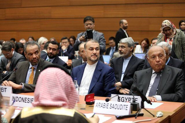 امیرعبداللهیان: ﺍﺭﺳﺎﻝ ﺳﻼﺡ ﺑﺮﺍﯼ ﺗﺪﺍﻭﻡ ﻧﺴﻞ‌ﮐﺸﯽ ﺩﺭ ﻏﺰﻩ ﺧﻄﺎﯼ ﻧﺎﺑﺨﺸﻮﺩﻧﯽ ﺍﺳﺖ