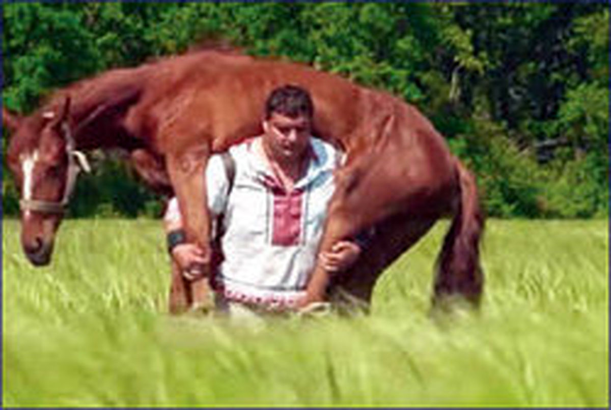مردی که به اسب‌ها سواری می‌دهد! +عکس