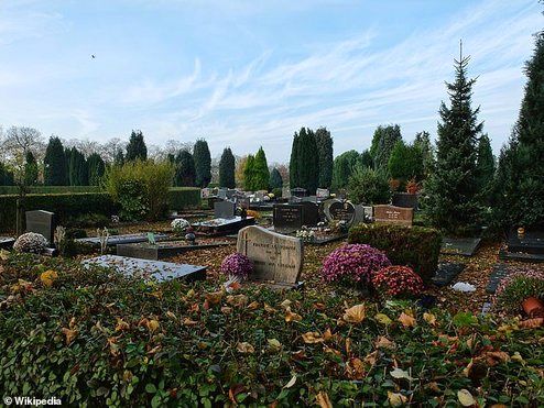 تصاویر: حمله خرچنگ‌ها به قبرستان