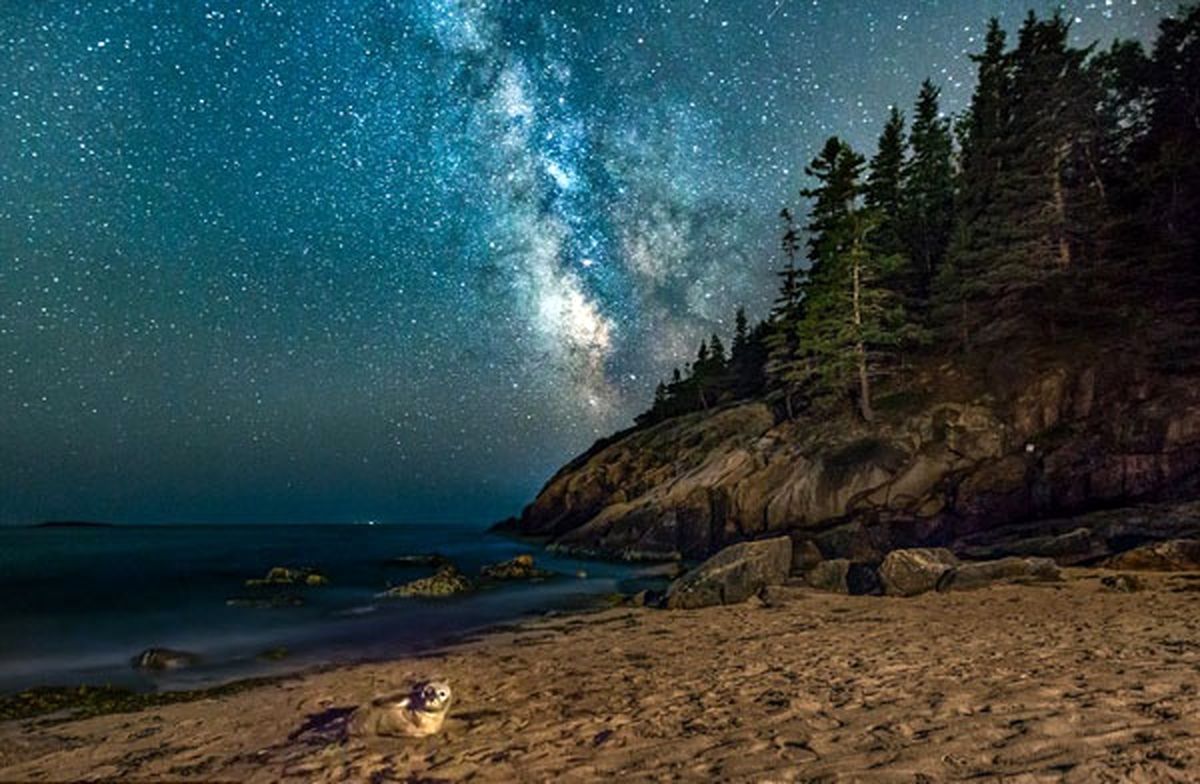 فوتوبمب یک فُک+عکس