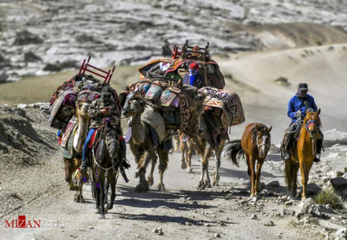 تصاویر: کوچ گله داران به مراتع چرای تابستانی در چین