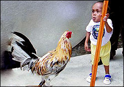 کوتاهترین مرد جهان معرفی شد+عکس